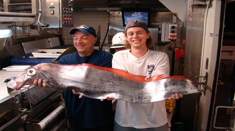 Dealfish